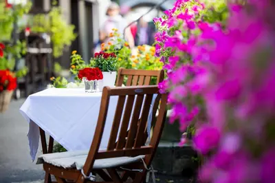 Ein Garten an der Unterkunft Eggerwirt Kitzbühel, Hotel & Restaurant - Lifts included in May June Sep and Oct gratis Bergbahnbenützung