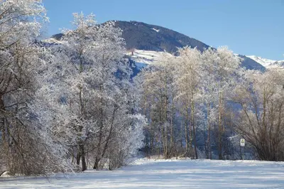 Gästehaus Elisabeth im Winter