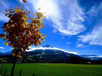 Naturlandschaft in der Nähe der Ferienwohnung