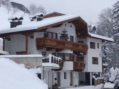Apart Bradl im Winter