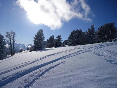 Apart Jakob im Winter