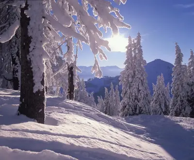 Ferienwohnung Hauser im Winter