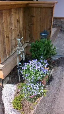 Ein Garten an der Unterkunft Häuserhof