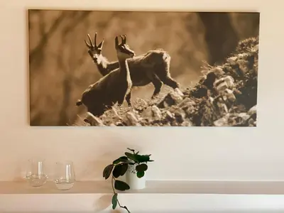Getränke in der Unterkunft Villa Deningfeld
