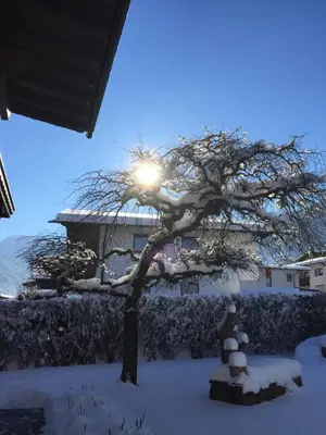 Das Enzian im Winter