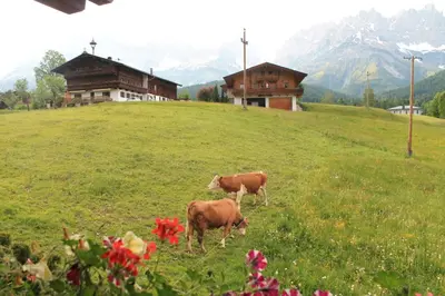 Naturlandschaft in der Nähe des Bed & Breakfasts