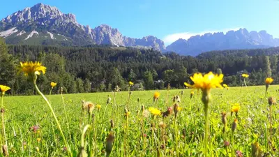 Naturlandschaft in der Nähe der Ferienwohnung