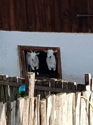 Grundriss der Unterkunft Landhaus BergMoment - adults only