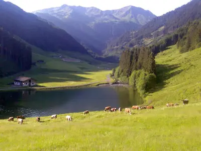 Naturlandschaft in der Nähe des Chalets