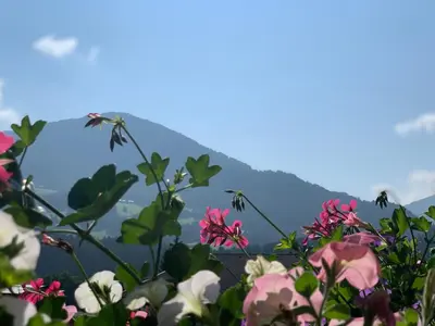 Naturlandschaft in der Nähe der Ferienwohnung