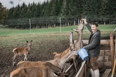 Tiere in der Ferienwohnung oder in der Nähe