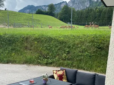 Ein allgemeiner Bergblick oder ein Berglick von der Ferienwohnung aus