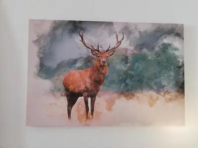 Tiere in der Ferienwohnung oder in der Nähe