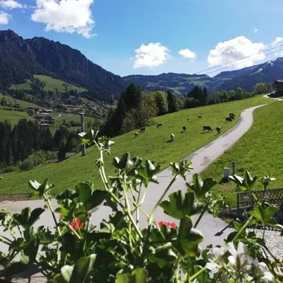Naturlandschaft in der Nähe der Ferienwohnung