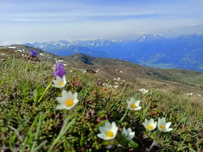 Naturlandschaft in der Nähe der Ferienwohnung