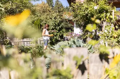 Ein Garten an der Unterkunft Oberhaslachhof