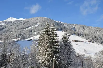 Naturlandschaft in der Nähe der Ferienwohnung