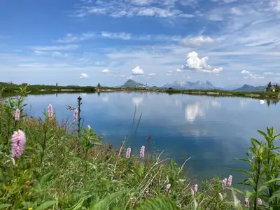 Naturlandschaft in der Nähe des Hotels