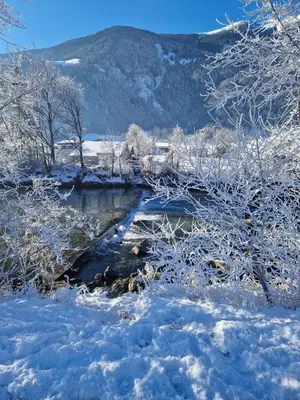 Naturlandschaft in der Nähe der Ferienwohnung