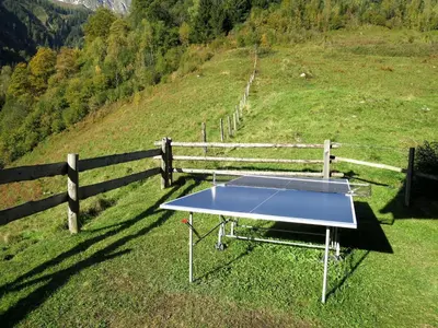 Tischtennis in der Unterkunft Chalet Sturmbachhütte by Interhome oder in der Nähe