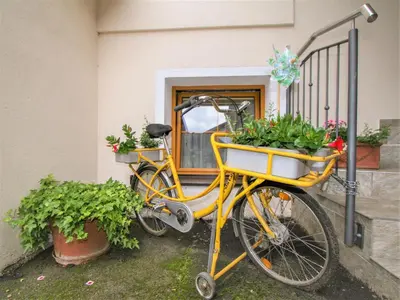 Radfahren an der Unterkunft Apartment Lechners Wohnwelt-1 by Interhome oder in der Nähe