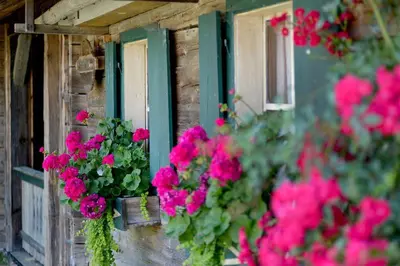 Ein Garten an der Unterkunft Alpenresidenz Unterrainer