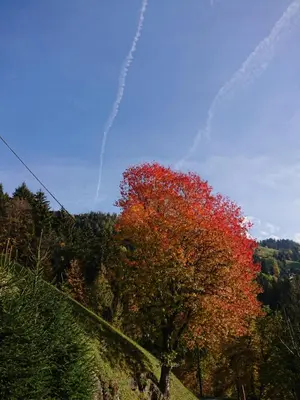 Naturlandschaft in der Nähe der Ferienwohnung