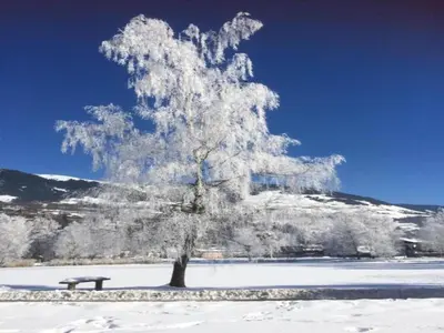 Chalet in Austria near Ski Slopes im Winter