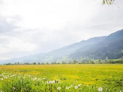 Naturlandschaft in der Nähe des Ferienhauses