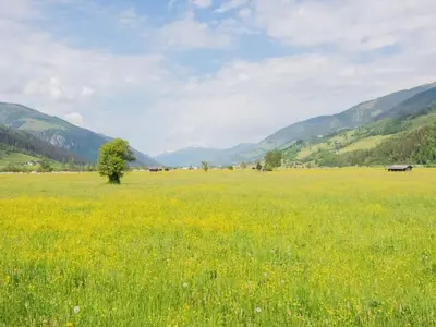 Naturlandschaft in der Nähe des Ferienhauses