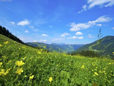 Naturlandschaft in der Nähe der Ferienwohnung