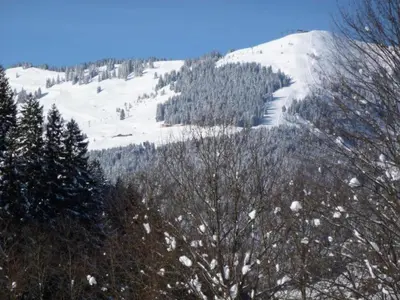 Ein allgemeiner Bergblick oder ein Berglick von der Ferienwohnung aus