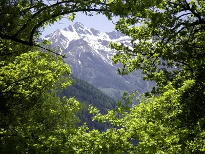 Naturlandschaft in der Nähe der Pension