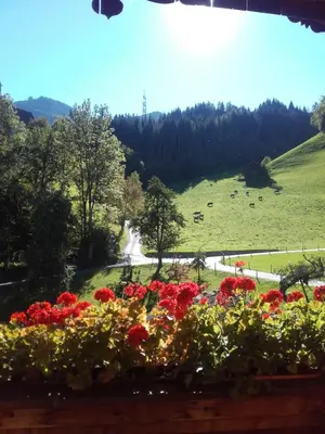 Naturlandschaft in der Nähe des Bauernhofs