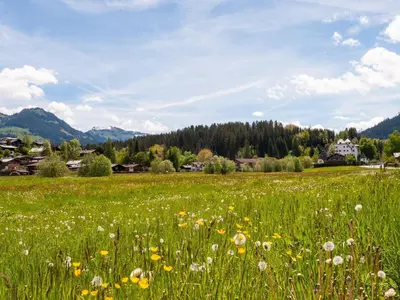 Naturlandschaft in der Nähe der Ferienwohnung