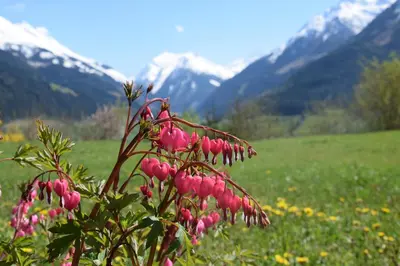 Naturlandschaft in der Nähe der Pension