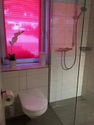 Ein Badezimmer in der Unterkunft Haus Lechner Apartments