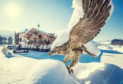 Hotel Riedl im Winter