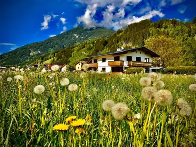 Naturlandschaft in der Nähe der Ferienwohnung