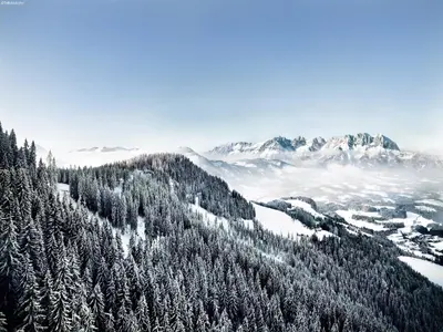 Naturlandschaft in der Nähe der Ferienwohnung