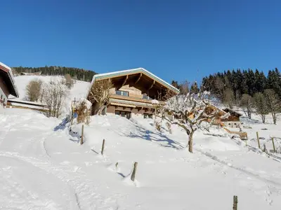 Apartment in Viehhofen near Ski Lifts im Winter