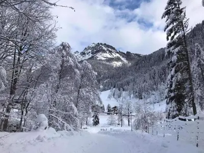 Spacious Apartment near Ski Area in Mittersill im Winter