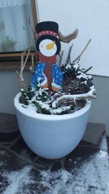 Ferienwohnungen Regina Unger im Winter
