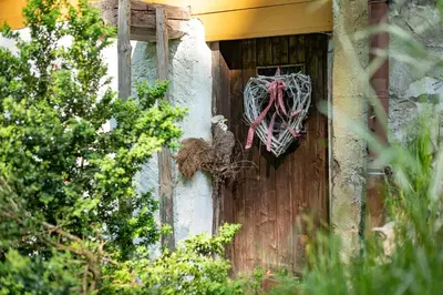 Ein Garten an der Unterkunft Apartment Landhaus Mühlau in Tirol