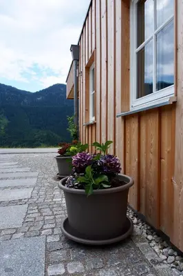 Ein allgemeiner Bergblick oder ein Berglick von der Ferienwohnung aus