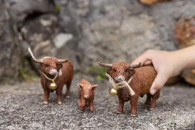 Tiere im Ferienhaus oder in der Nähe