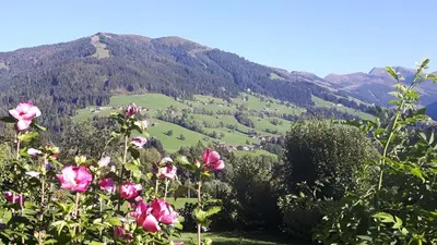 Naturlandschaft in der Nähe der Ferienwohnung