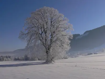 Hotel Garni & Appartements Ilgerhof im Winter