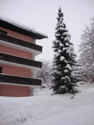 Appartment Stepanek by Hermann Weiss im Winter