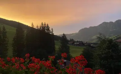 Naturlandschaft in der Nähe der Ferienwohnung